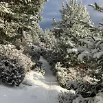 Le Printemps, Nature Apartman Bruyères