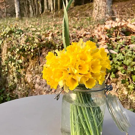 Le Printemps, Nature Appartement