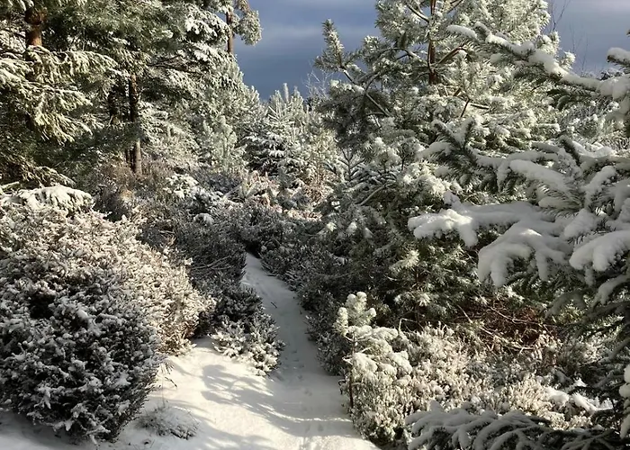 Le Printemps, Nature Lägenhet Bruyeres