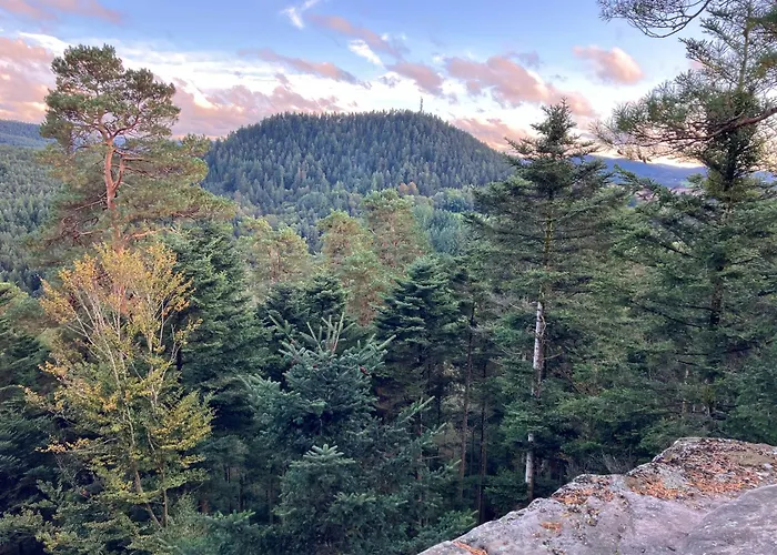 Apartament Le Printemps, Nature