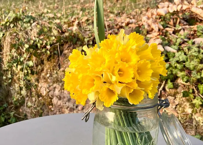 Le Printemps, Nature Апартаменты